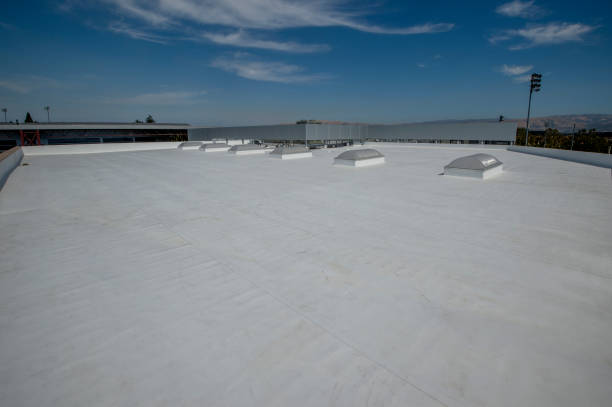 Roof Coating Services in Newark, IL