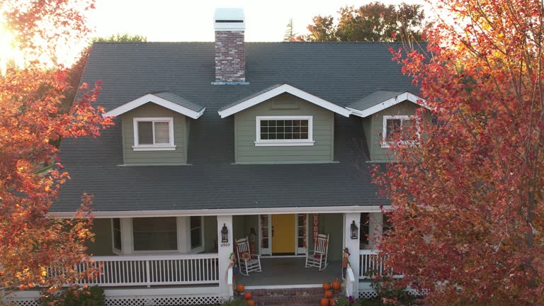 Best Flat Roofing  in Newark, IL