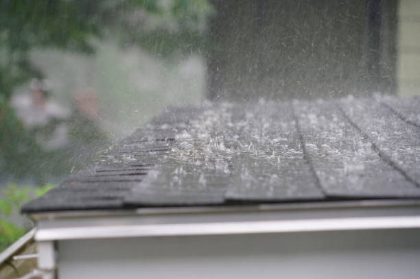 Best Solar Panel Roofing Installation  in Newark, IL
