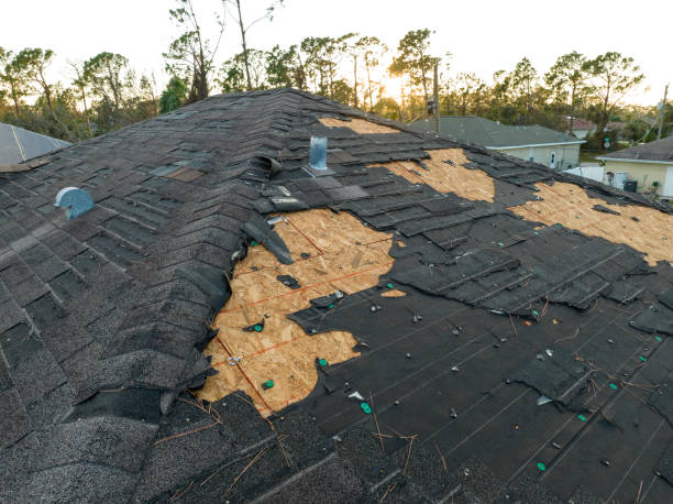 Best Asphalt Shingles Roofing  in Newark, IL