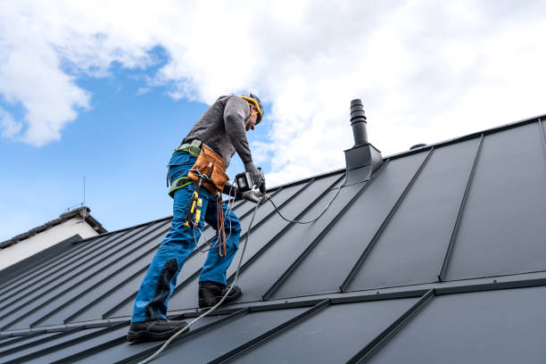 Best Roof Repair  in Newark, IL